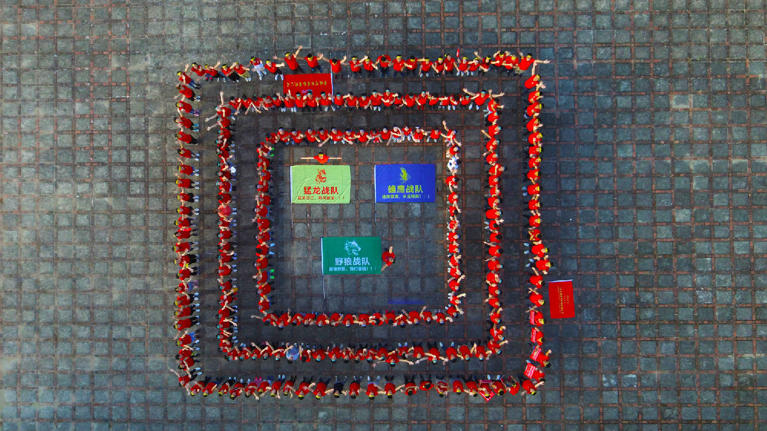 2019第五屆牛商爭(zhēng)霸賽東莞戰(zhàn)區(qū)